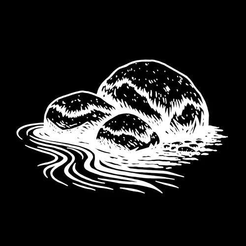 Lost cover
